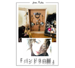 �p���h���̙�